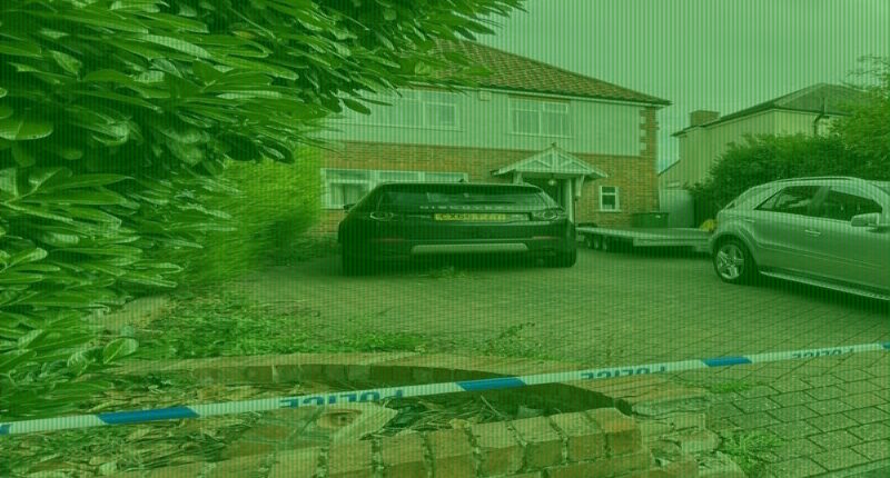 Neighbour recalls screams of boy and father stabbed in house raid