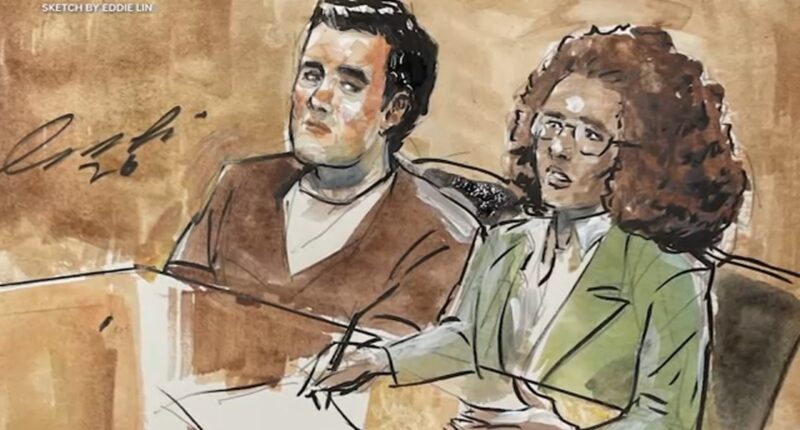 Nick Reiner case: Hearing over whether grand jury transcripts should be unsealed pushed to January