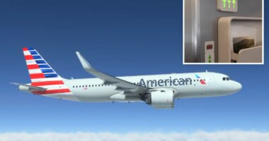 Nightmare American Airlines flight forced to divert to JFK after 6 restrooms fail midair