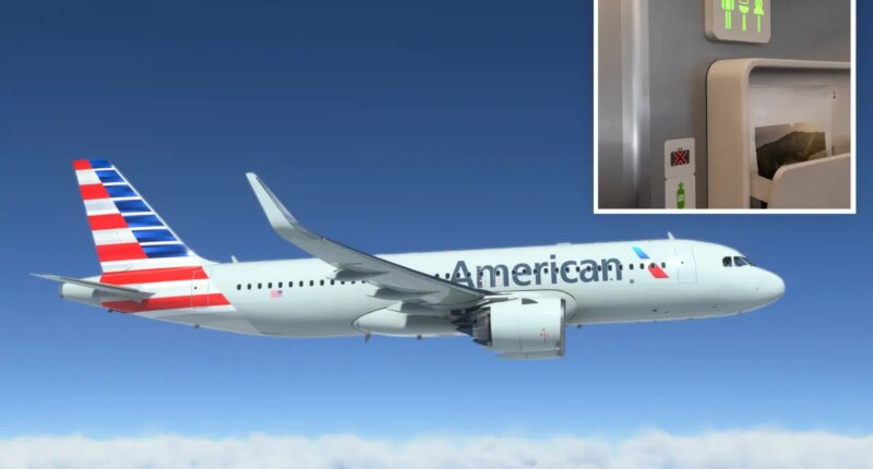 Nightmare American Airlines flight forced to divert to JFK after 6 restrooms fail midair