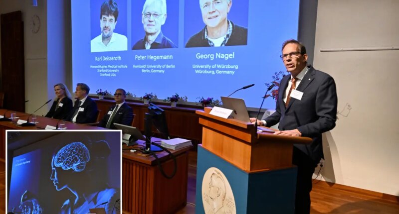 Nobel medicine prize goes to 3 scientists for research into brain activity