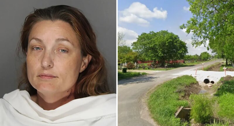 North Texas mom fatally shoots two sons, fails to kill herself