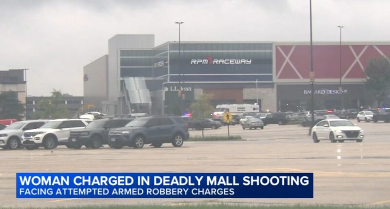Oakbrook center shooting: Chicago woman Chance Jamerson charged in armed robbery; no murder charges in death of Justin Hill