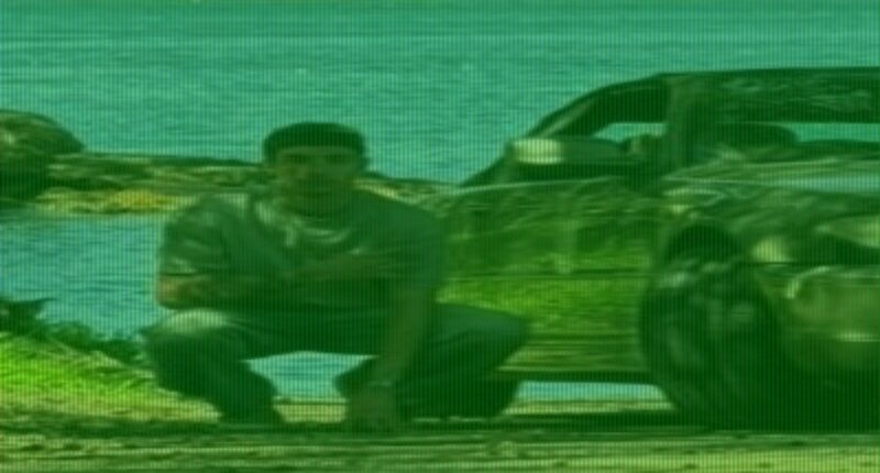 P-plater who alleged slammed into NRL fans walks free from jail