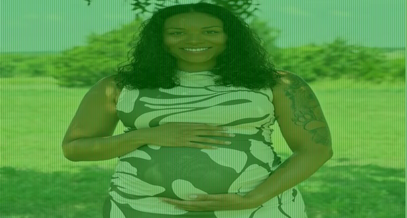 Parents of heart defect baby ask to end legal battle with surrogate
