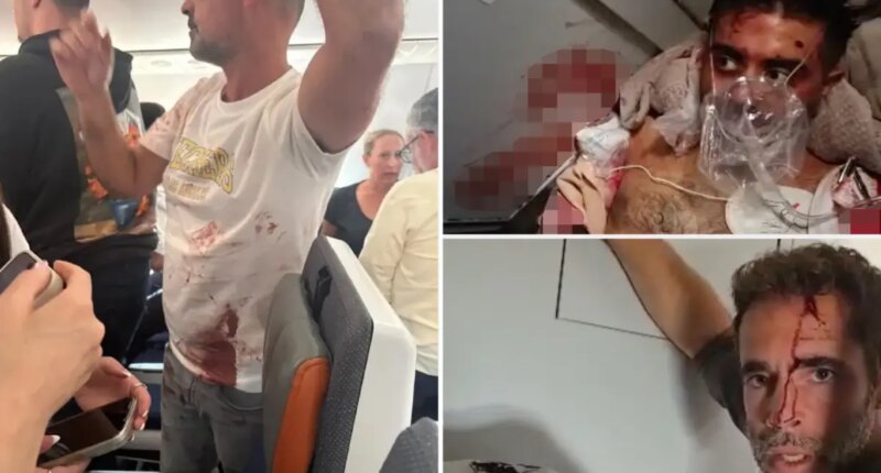 Passengers recall sickening plunge, screams during flydubai plane hijacking