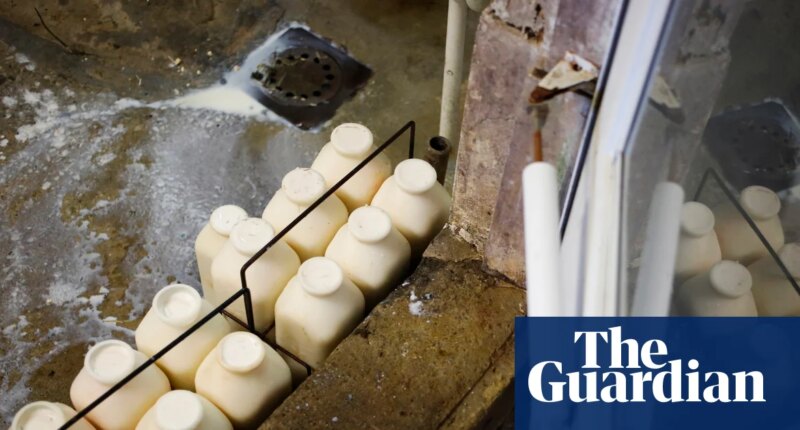 Physicians’ group calls for ban on raw milk – as it’s becoming increasingly popular in the US
