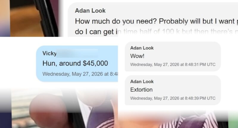 Pig butchering scam: San Francisco, California retiree Adan Look loses $500,000 in pig butcher scam, then falls for the another online romance scam