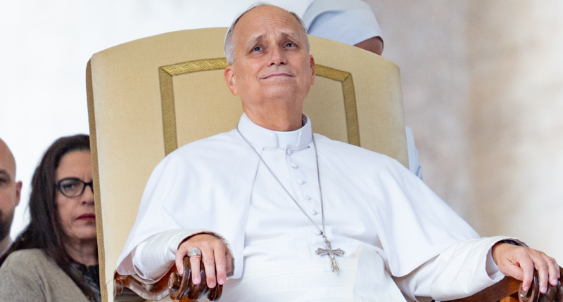Pope Leo XIV needs no further cancer treatment after lung tumor removed, doctors say