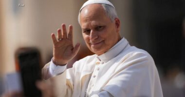 Pope Leo XIV tells faithful in St. Peter's Square he will gradually resume duties after cancer surgery