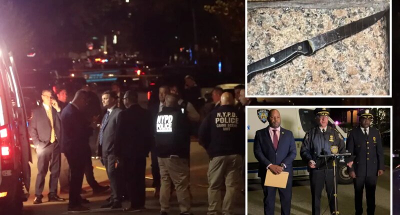 Queens woman shot by NYPD cops after picking up berzerk brother's knife: family