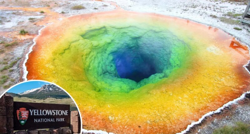 Reckless visitors are destroying Yellowstone's iconic thermal pools with trash