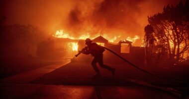 Report on CA's Response to Devastating LA Fires Is In, and It's Even Worse Than You Thought