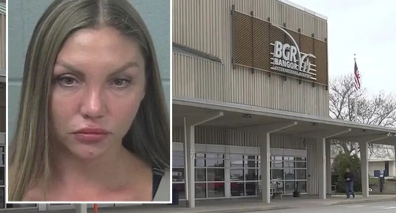 Russian passenger accused of biting flight attendant deported from US, charges dropped