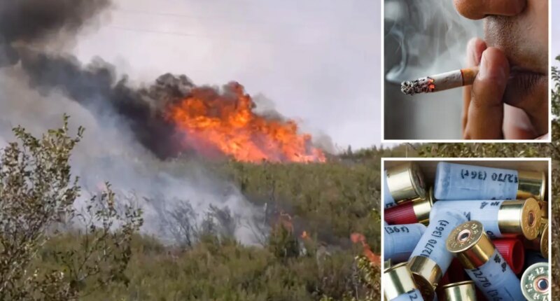 Santa Clarita man charged in 1,000-acre Bouquet Fire arson