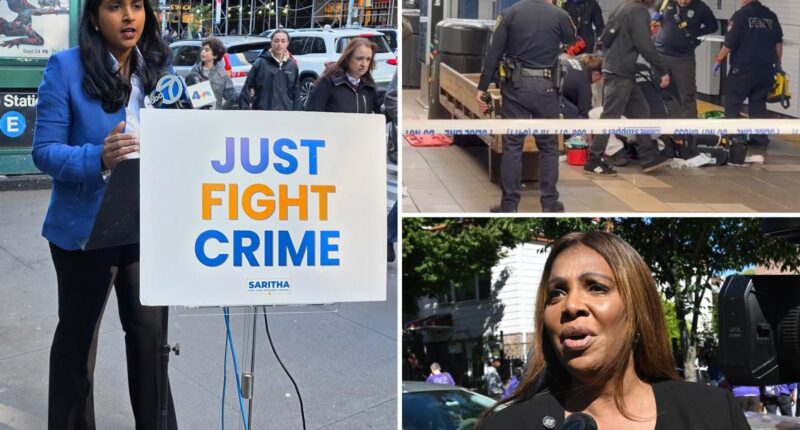 Saritha Komatireddy slams AG Letitia James over NYC transit 'chaos'