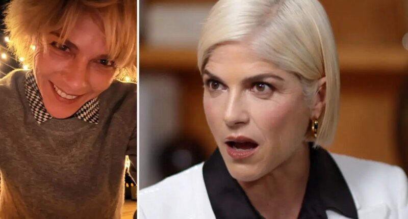Selma Blair screamed maniacally as she was dragged off plane after alleged midair crew attack: audio