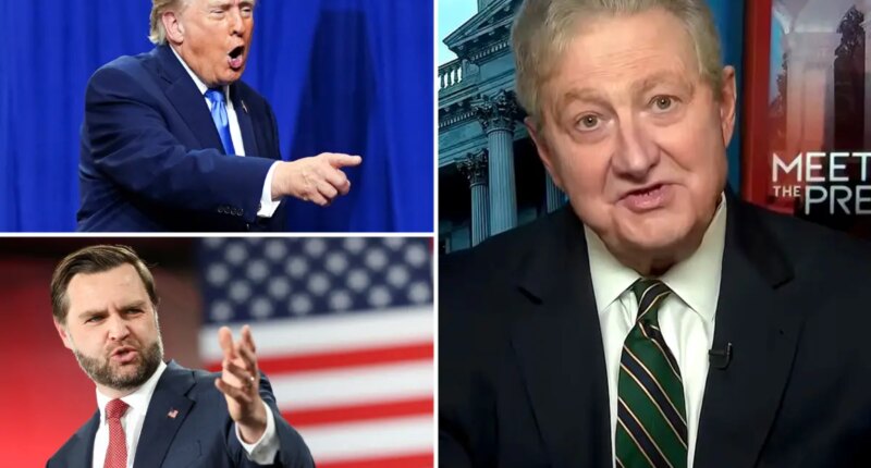 Sen. Kennedy floats 2028 prez bid if 'a bunch of goobers run' — as he goes after Trump