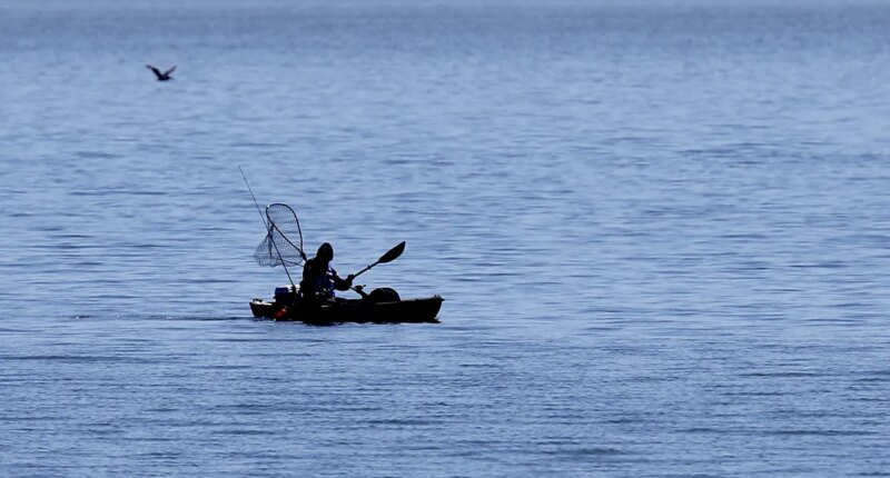 Shark bites fisherman twice during kayaking encounter along California beach