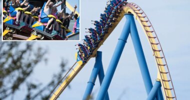 Six Flags Great Adventure shutters Nitro 'hypercoaster' after teacher's fatal plunge from similar ride