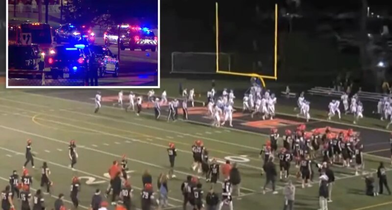 Somali gangs blamed for shooting at suburban Minneapolis homecoming game that left 2 wounded