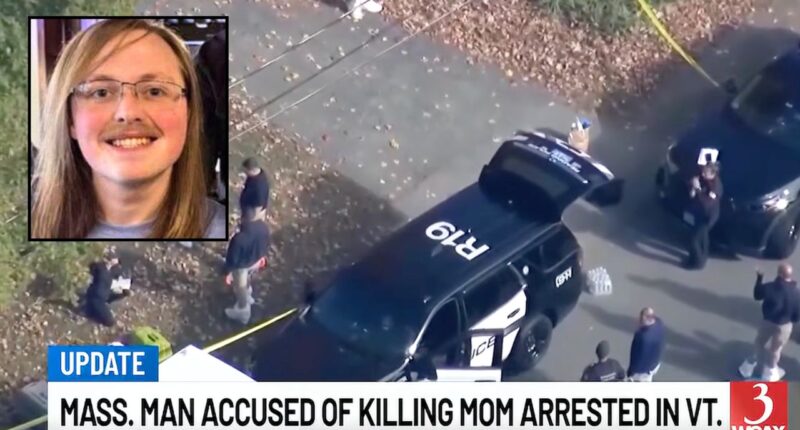 Son killed his mom after argument about getting a job: Cops