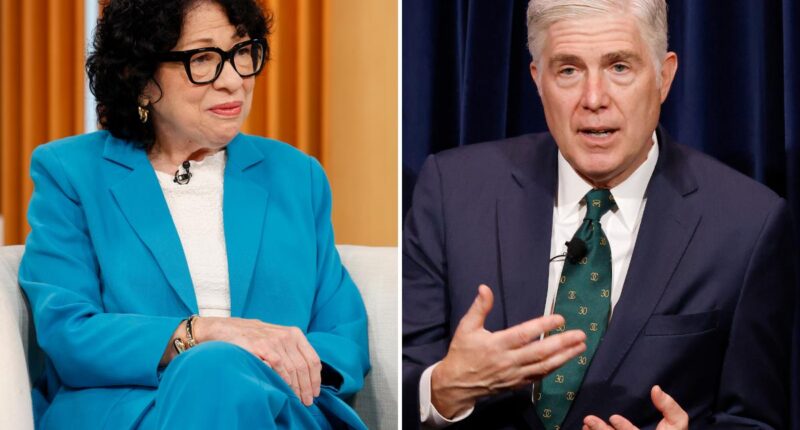 Sotomayor, Gorsuch blast illegal immigrant's prosecution as 'constitutional absurdity'