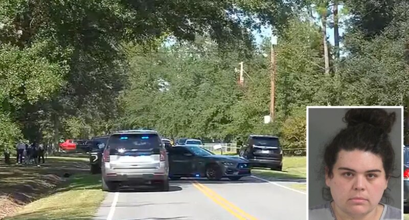 South Carolina mom allegedly killed her daughters, family referenced Lindsay Clancy