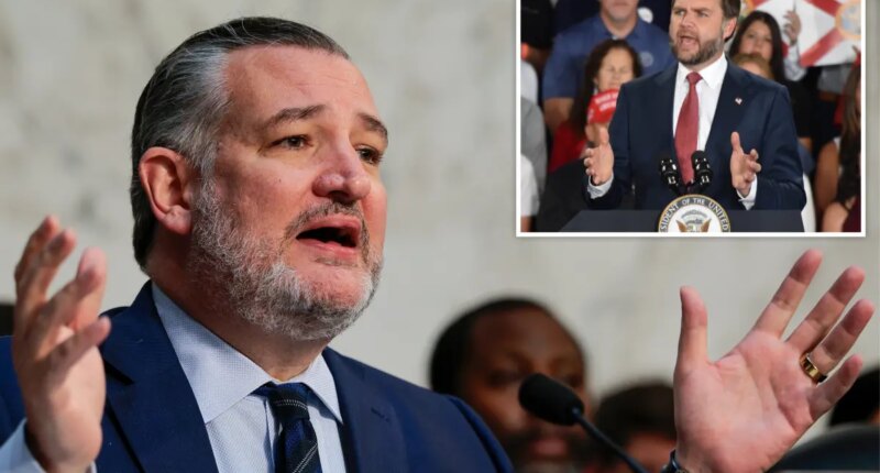 Ted Cruz fires back at 'insecure' JD Vance as the two trade barbs over 2028