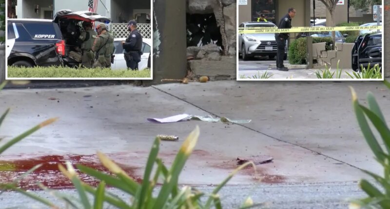 Teen girl killed in Arcadia; boyfriend critically injured after suicide attempt in Pasadena
