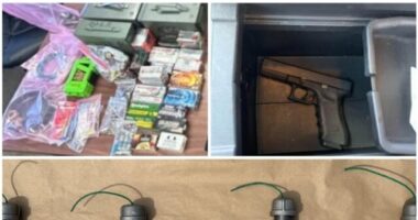 Texas Man Found with Pipe Bombs, Guns, Three Illegal Aliens near Border
