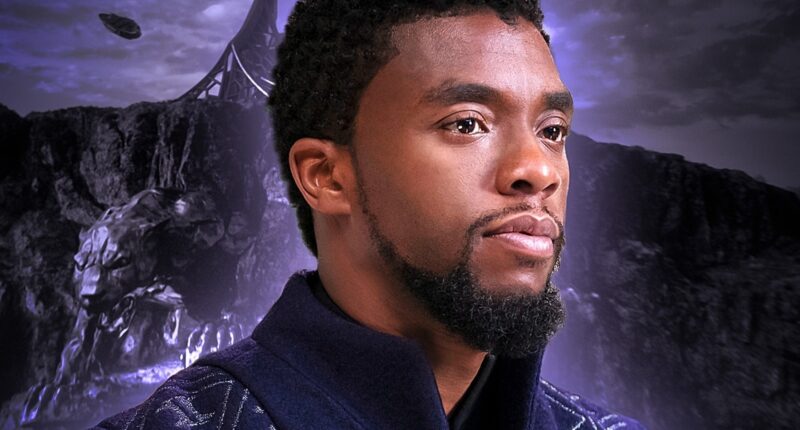 The Only Black Panther Recap You Need Before Avengers: Doomsday