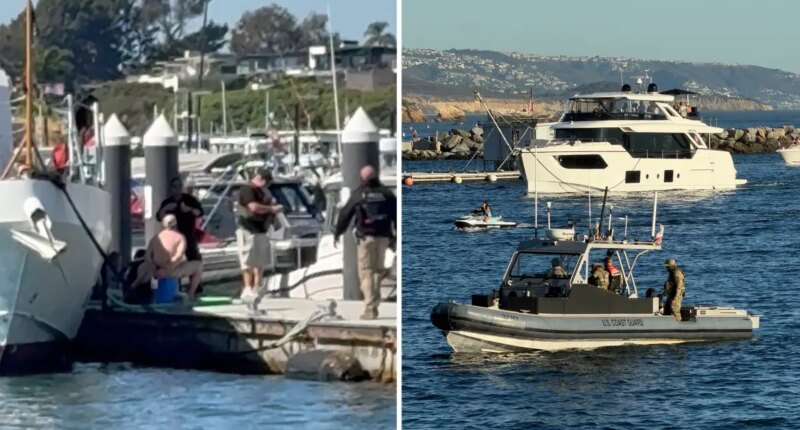 Third migrant boat in a month intercepted in SoCal