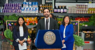 Thoughts on Mamdani and His City-Owned Grocery Store Scheme From a Venezuelan Political Refugee