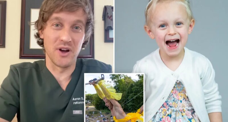 Trapeze artist doctor crashes plane in 'dangerous' joyride, killing him and his 3-year-old daughter