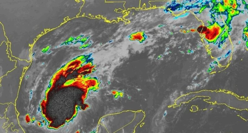Tropical Storm Isaias forms, expected to become a hurricane and hit the US Gulf Coast this week