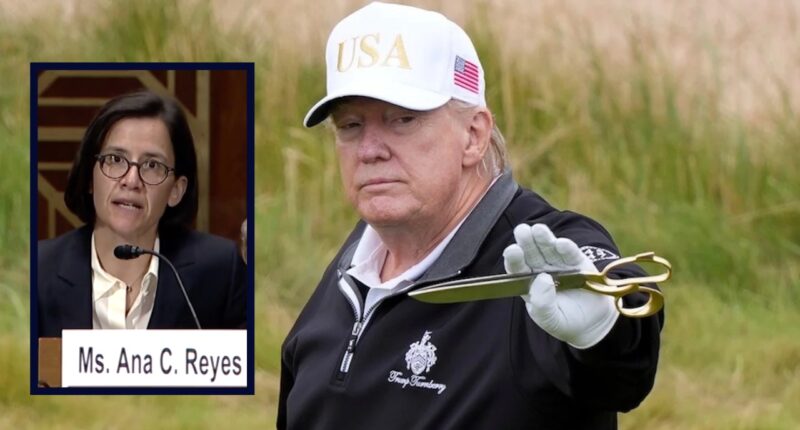 Ana Reyes, Donald Trump