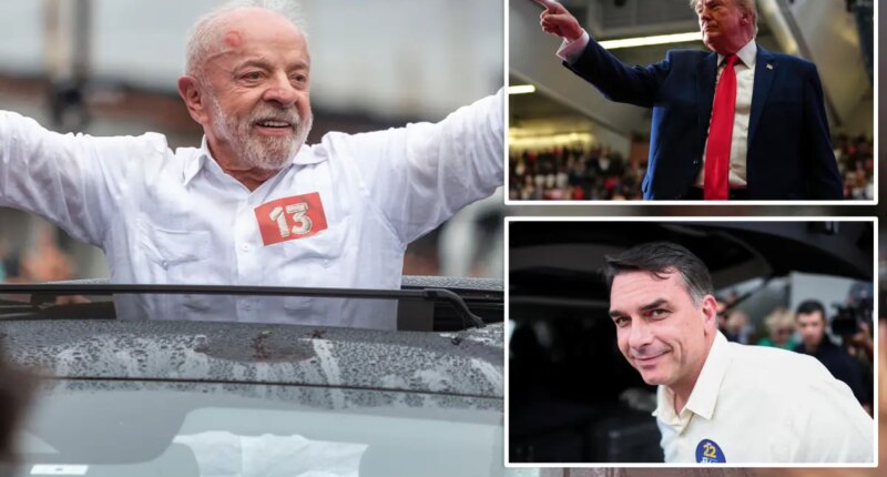 Trump critic Lula wins reelection in Brazil, securing fourth presidential term