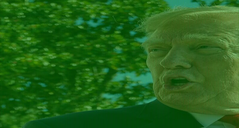 Trump erupts as 'panic' grips White House over stories of his own midterms masterminds cashing in... and Susie Wiles calls crisis meeting