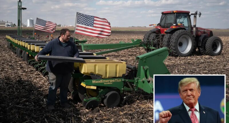 Trump promises $8 billion in relief to farmers reeling from high diesel costs