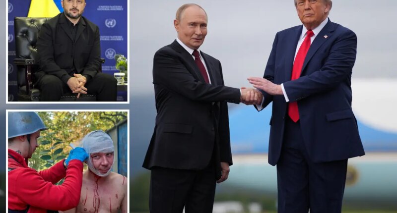 Trump says Putin 'wants to make a deal' — as he knocks Ukraine's Zelensky