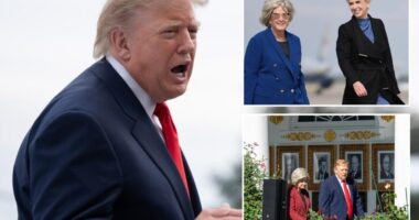 Trump stands by Susie Wiles as infighting consumes jittery White House ahead of midterms