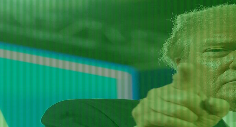 Trump warns WNBA stars will 'destroy themselves' in blistering attack over national anthem walk-offs and urges fans to stop watching