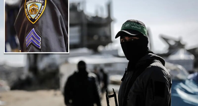 Two US brothers busted in $1.7M Hamas fundraising scheme — that was exposed with help from the NYPD
