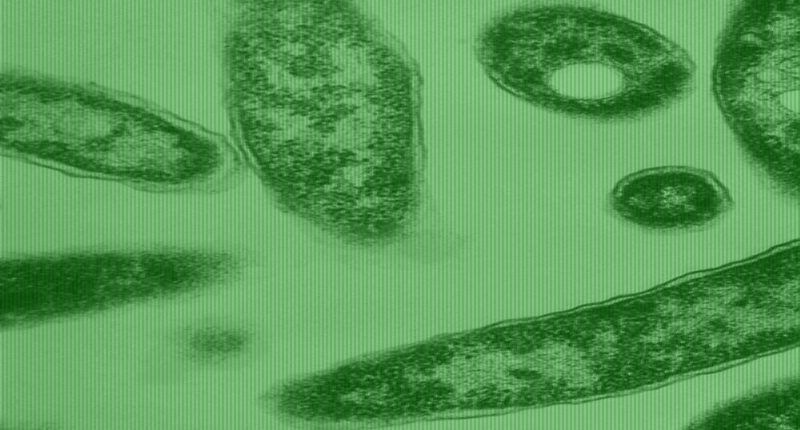 Two more cases of deadly Legionnaires' disease reported in New York