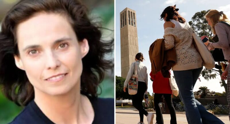 UC Santa Barbara professor claims college shortchanged her $3M, promoted male colleague: suit