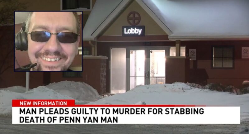 Veteran pleads guilty to murdering trucker who helped him