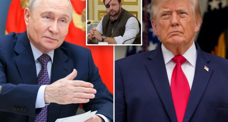 Vladimir Putin 'giving the middle finger' to Trump by breaking energy cease-fire: GOP congressman