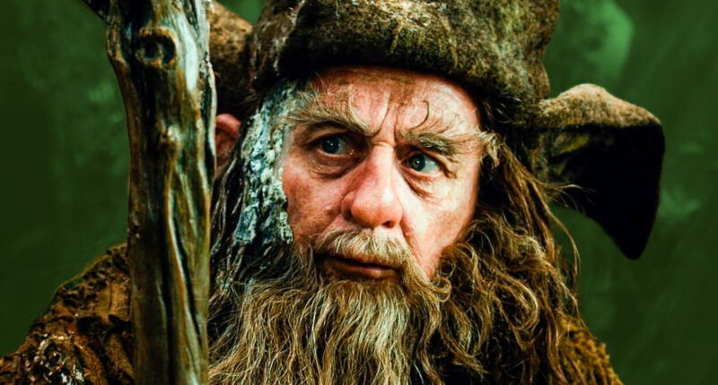 What The Other Wizards Were Doing During The Lord Of The Rings