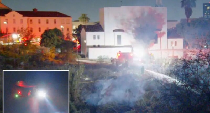 Wildfire breaks out in LA's Brentwood neighborhood